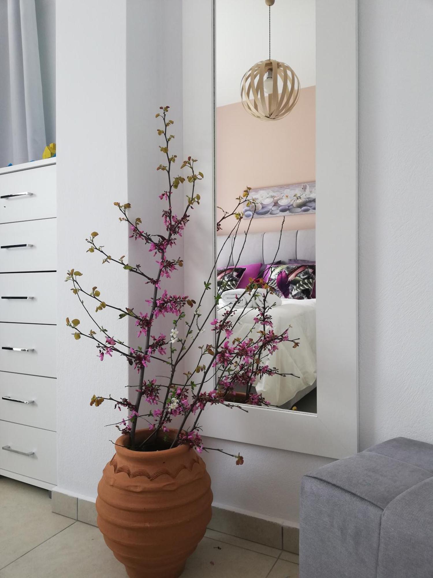 Meltemi Appartement